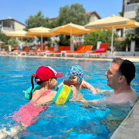 Colakli Sunset シダ