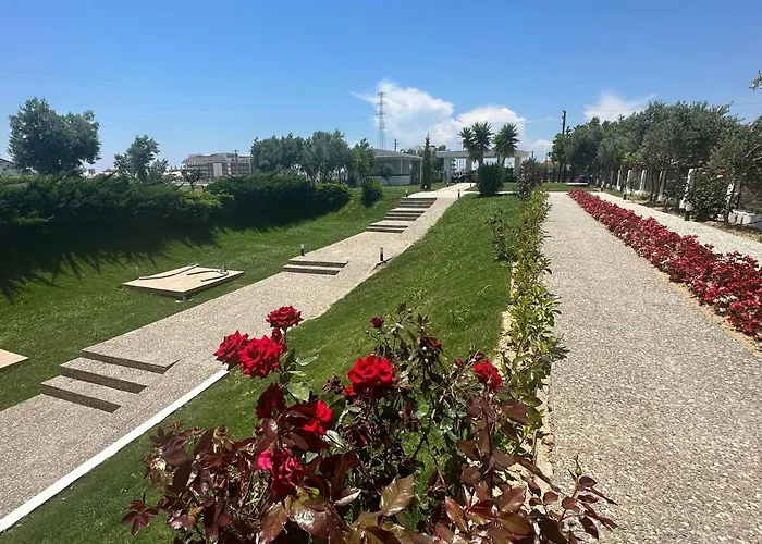 Colakli Sunset 시데